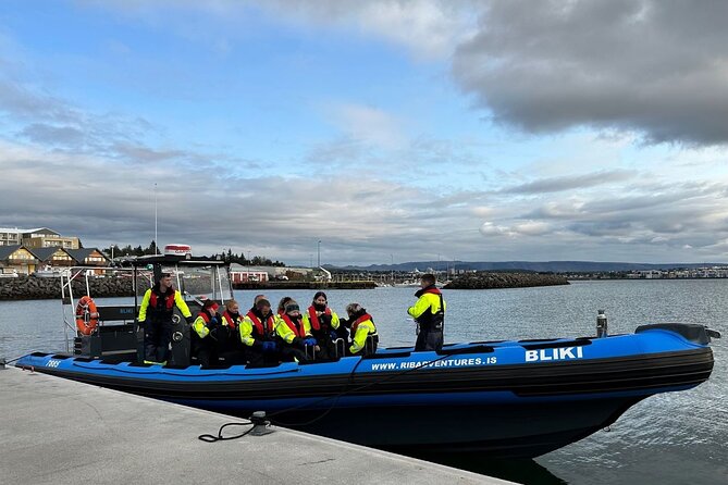 Whale Watching - RIB Boat Adventure in Kopavogur, Iceland - The RIB boat is half the attraction