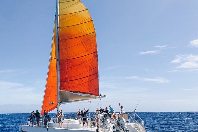 Whale Watching Sail in Honolulu with Open Bar - A 3 PM departure from Waikiki