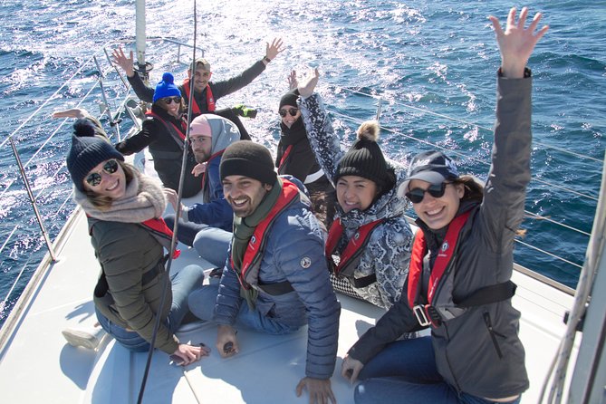 Whale Watching Sailing Experience in Sydney - Why a 12-person boat changes the day