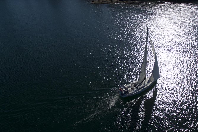Whale Watching Sailing Experience in Sydney - Is $71.01 good value?