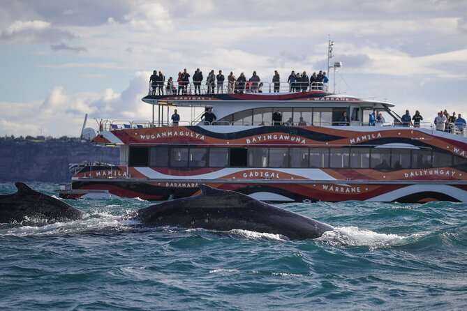 Whale Watching Sydney 2-Hour Express Cruise - Who will enjoy this cruise most