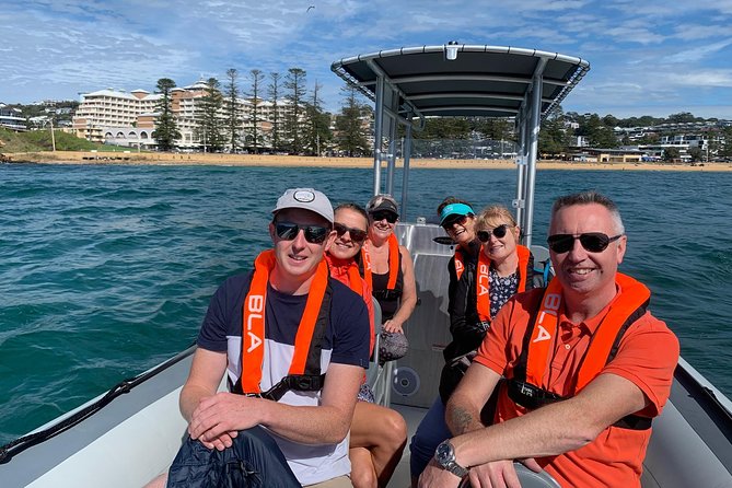 Whale Watching Terrigal - What the best sightings can look like