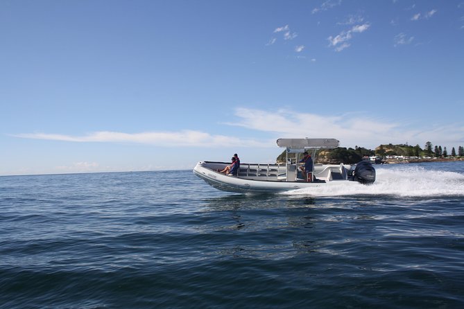 Whale Watching Terrigal - Who will enjoy this trip most