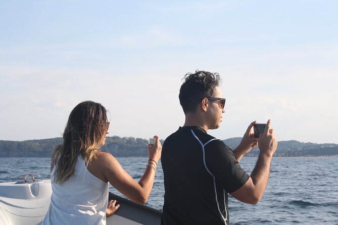 Whale Watching Terrigal - Should you book Terrigal Ocean Tours?
