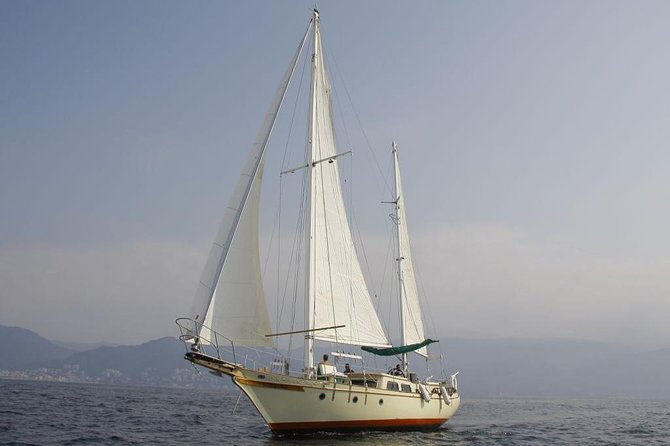 Whale Watching The Best Of Puerto Vallarta - Drinks, snacks, and the value of the price