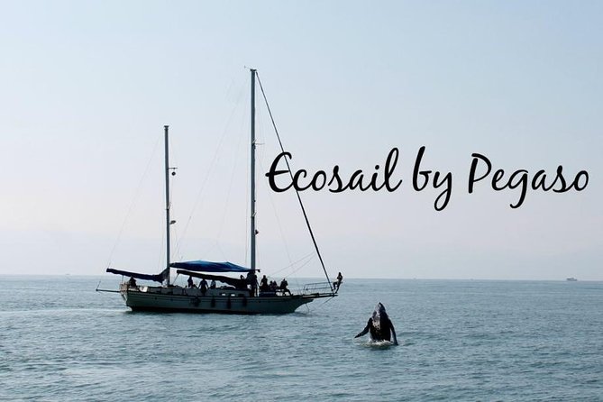 Whale Watching The Best Of Puerto Vallarta - Weather, sailing, and the practical limits