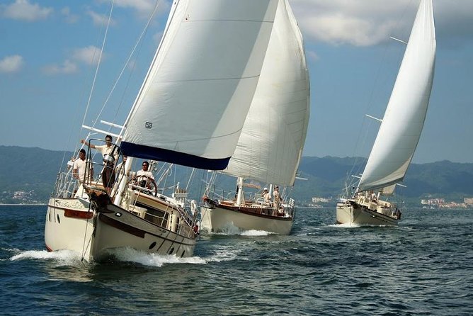 Whale Watching The Best Of Puerto Vallarta - Who should choose this tour