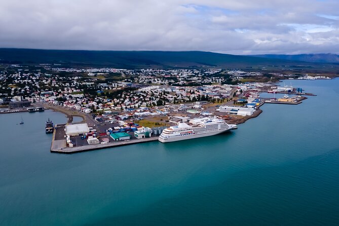 Whale Watching Tour from Akureyri City Central - Humpbacks, porpoises, and the occasional puffin
