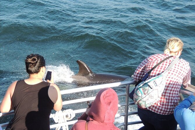 Whale Watching Tour from Anacortes - Who should book this Anacortes cruise?