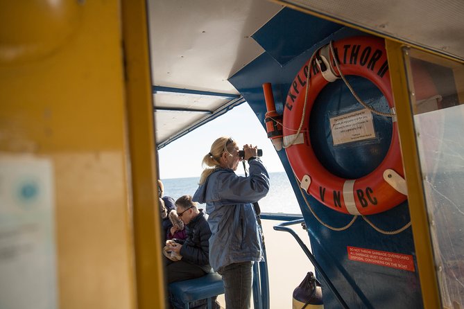 Whale-Watching Tour from Vancouver - Humpbacks, sea lions, and smaller coastal wildlife