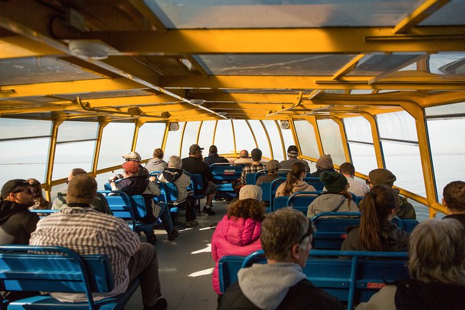Whale-Watching Tour from Vancouver - Guides who make the long search worthwhile