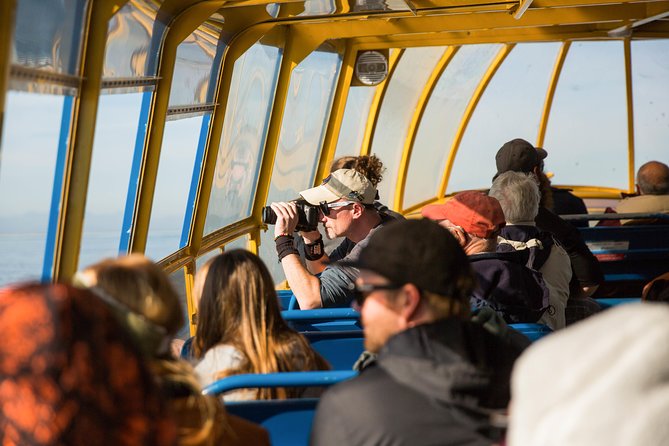 Whale-Watching Tour from Vancouver - Viewing from the deck, cabin, and railings