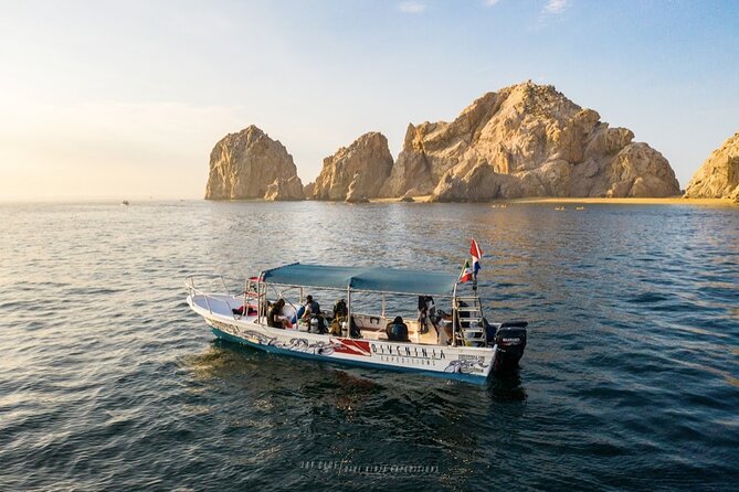 Whale Watching Tour in Cabo San Lucas - Setting out along Baja’s rugged coast