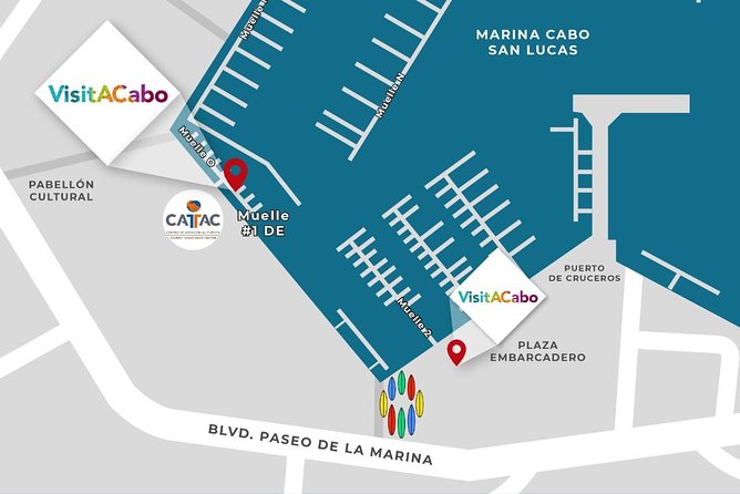 Whale Watching Tour in Glass Bottom Boat (VisitA Cabo) - Finding Blvd. Paseo de la Marina 36