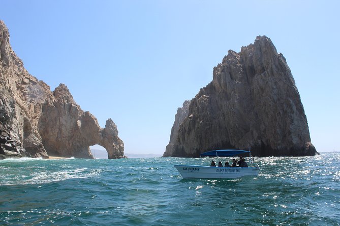 Whale Watching Tour in Glass Bottom Boat (VisitA Cabo) - What to bring and how to prepare