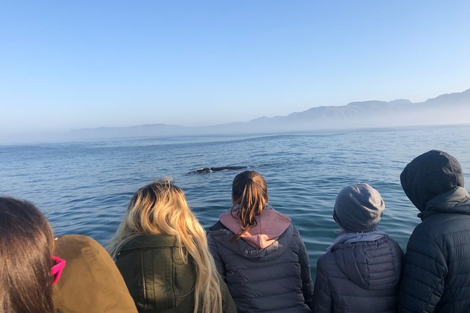 Whale Watching Tour in Hermanus with Hotel Pickup - Key things to know before booking