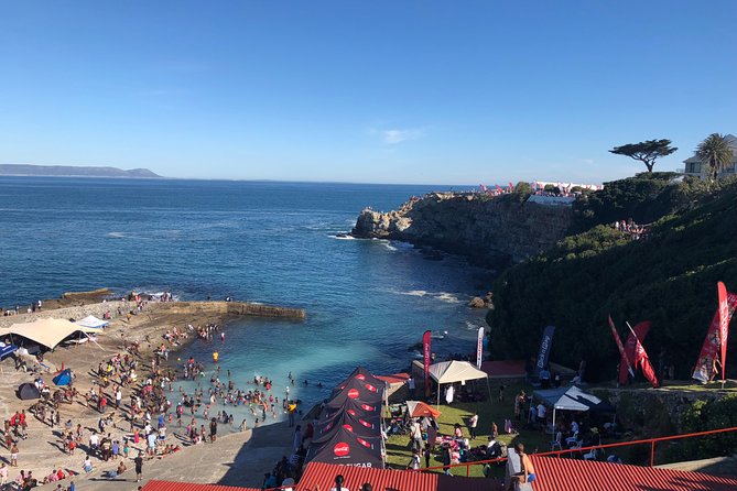 Whale Watching Tour in Hermanus with Hotel Pickup - From Cape Town to Hermanus by private vehicle