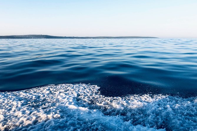 Whale Watching Tour in Hermanus with Hotel Pickup - Betty’s Bay adds penguins and more road time
