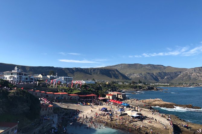 Whale Watching Tour in Hermanus with Hotel Pickup - What the private format changes