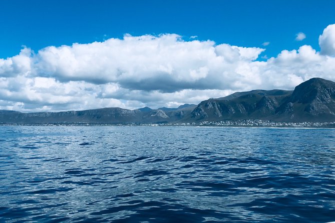 Whale Watching Tour in Hermanus with Hotel Pickup - Weather, cancellations, and practical planning