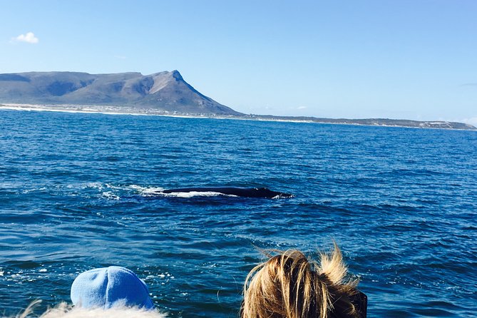 Whale Watching Tour in Hermanus with Hotel Pickup - Hermanus gives you time beyond the harbor