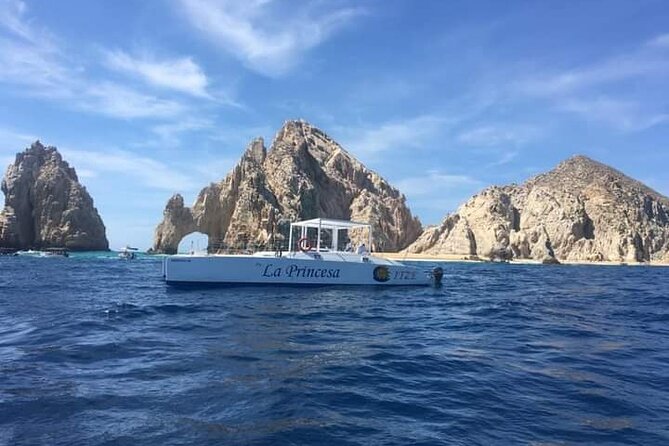Whale Watching Tour in Los Cabos - Starting at the Cabo San Lucas Marina