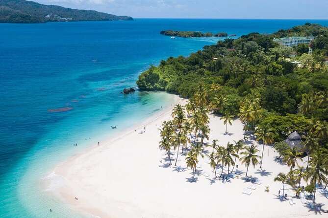 Whale Watching Tour in Samana - Is $100 a fair price?