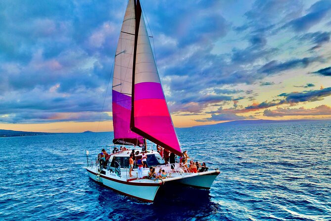 Whale Watching Tour on a Charming Hawaiian Catamaran From Maalaea - How the $85 price holds up