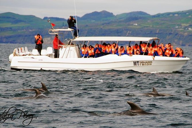 Whale Watching Tour + Vila Franca Islet: Full-day with lunch - Who should book this day on the water?