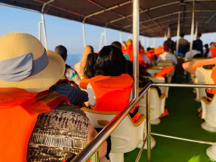 Whale Watching Tour with Transfers - Why Mirissa Is the Launch Point
