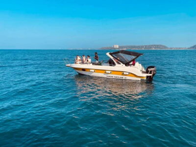 Whale Watching Tour with Transfers