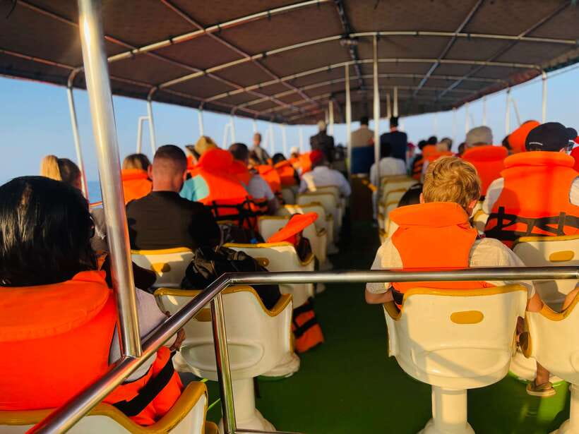 Whale Watching Tour with Transfers - Should You Book This Whale Watching Tour?