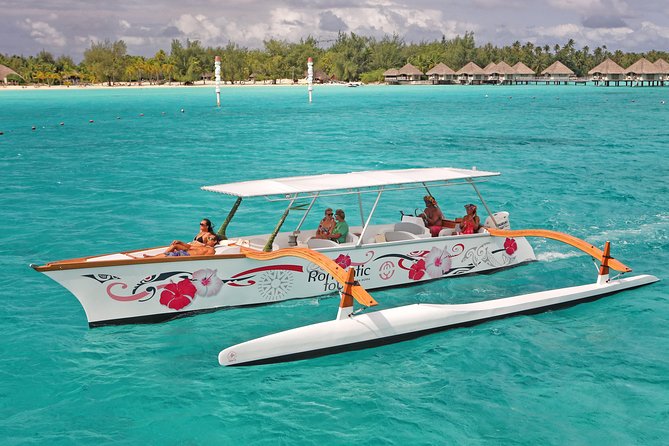 Whale Watching Tours in Bora Bora - The swimming option requires real ocean confidence