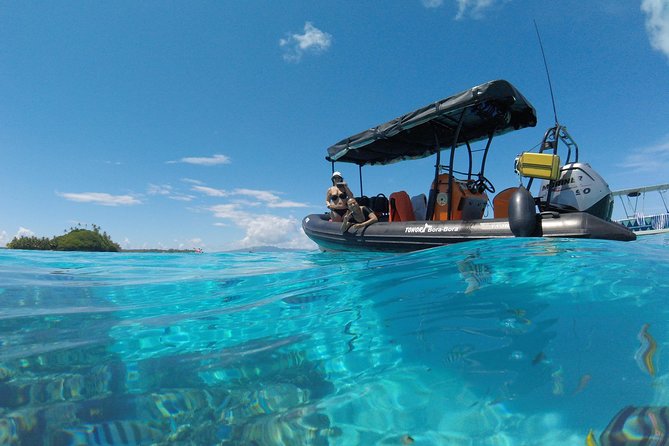 Whale Watching Tours in Bora Bora - Simon, Victor, and the crew’s strengths
