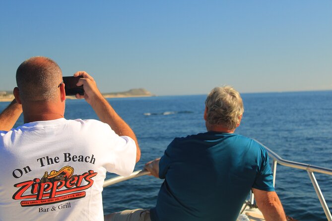 Whale Watching Warranty in San José del Cabo Snacks and drinks - Humpbacks, Dolphins, and the Value of Good Guiding