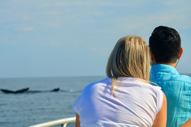 Whale Watching Warranty in San José del Cabo Snacks and drinks - Is the Small Group Worth the Cost?
