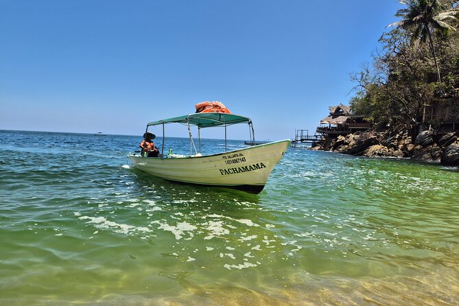 Whale watching with Snorkeling and beach Colomitos - What this Puerto Vallarta outing is really like