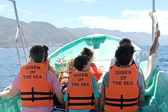 Whale watching with Snorkeling and beach Colomitos - How much value do you get for $57?