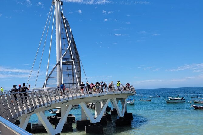 Whale watching with Snorkeling and beach Colomitos - Timing, meeting point, and group size