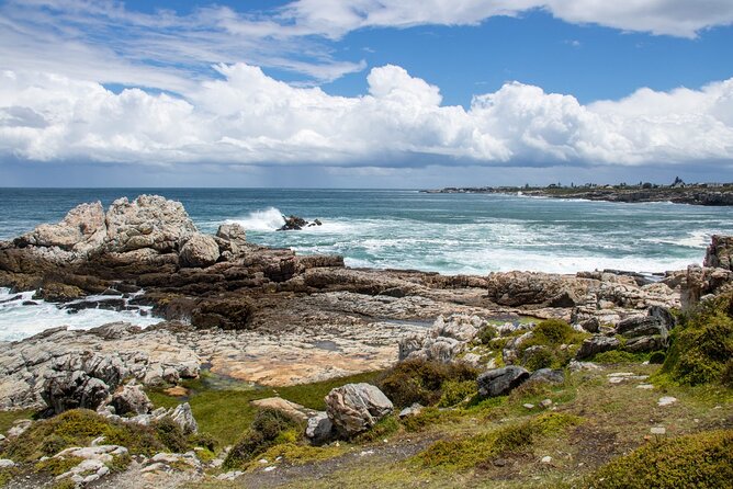 Whale Wonders: Majestic Marine Adventures in Hermanus - The five-hour Cliff Path and Biodiversity Walk