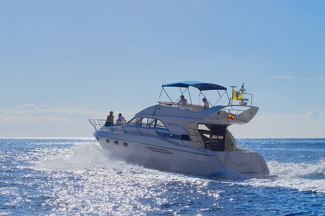 Whales and Dolphins excursion on a Luxury Yacht in Canary Islands - Key points before you book
