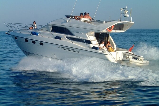 Whales and Dolphins excursion on a Luxury Yacht in Canary Islands - Coastal views with Teide in the background