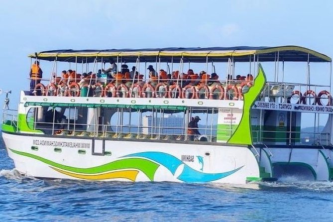 Whales and Dolphins Watching-Luxury Super Grade Cruiser(Hotel Pick up offered) - What the 40-passenger cruiser feels like