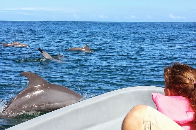Whales and Dolphins watching Tour From Uvita - What to bring for the 8:30 a.m. start