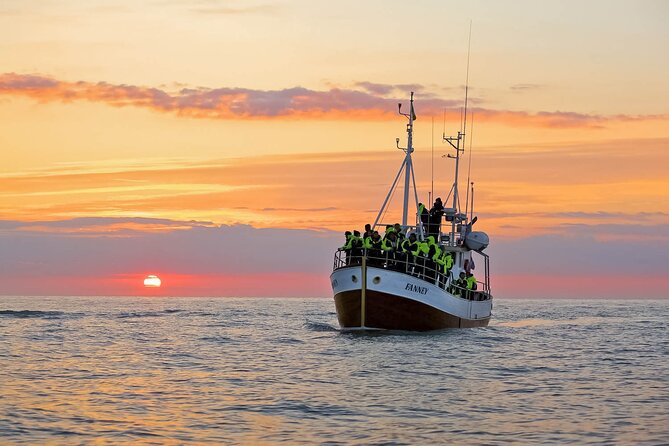Whales and Puffins Tour from Husavik - Leaving Húsavík for Skjálfandi Bay