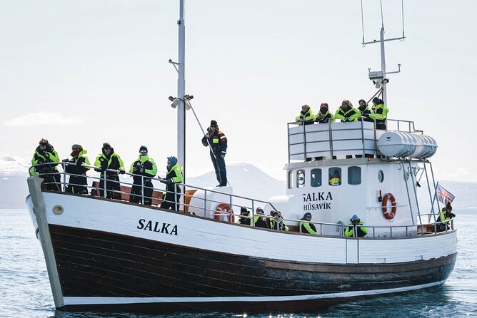 Whales and Puffins Tour from Husavik - What the wildlife encounter feels like