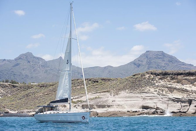 Whales & Dolphins watching in exclusive sailboat - Sea conditions and comfort