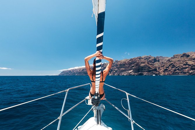 Whales & Dolphins watching in exclusive sailboat - What the guides add to the trip