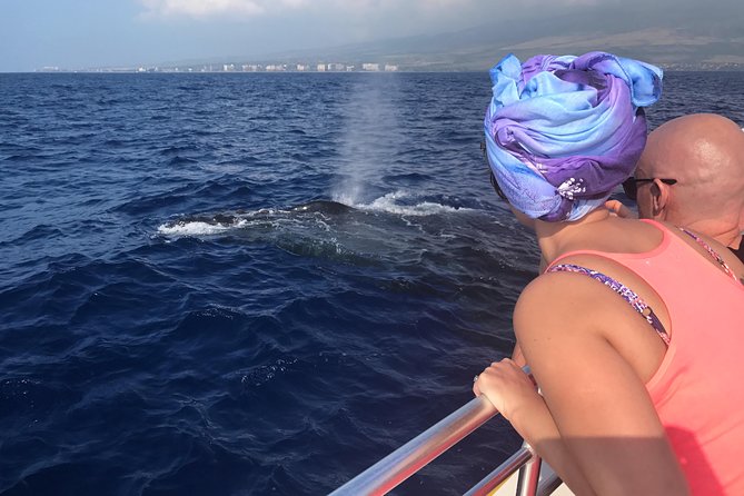 WHALES GUARANTEED Maui Whale Watching Makai Adventures - Five things to know before you book