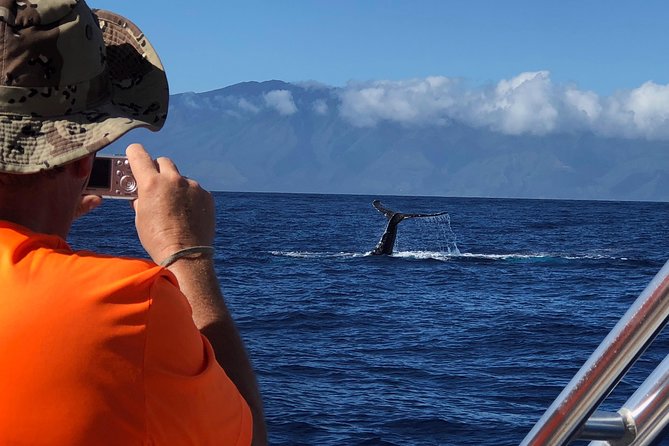 WHALES GUARANTEED Maui Whale Watching Makai Adventures - Who should book this whale watch?